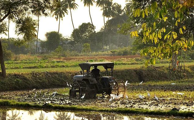 உரம் வாங்கத் திண்டாடுகிறான் இந்திய விவசாயி... உல்லாச காலண்டர் எடுக்கிறார் மல்லையா? #WhereisVijayMallya? #WhyLetMallyaFlee?