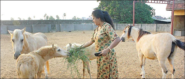 விலங்குகளை நேசிக்க குழந்தைகளைப் பழக்குங்கள்!