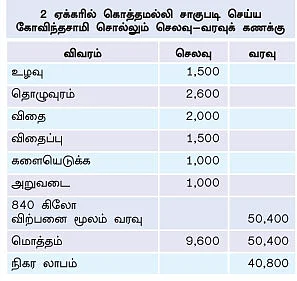 பனியில் விளையும் தனியா!