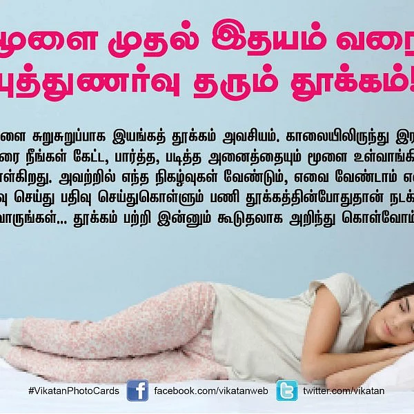 பகல் தூக்கம்... முதல் குறட்டை வரை... தூக்கம் பற்றி அனைத்தும் அறிவோம்! #VikatanPhotoCards