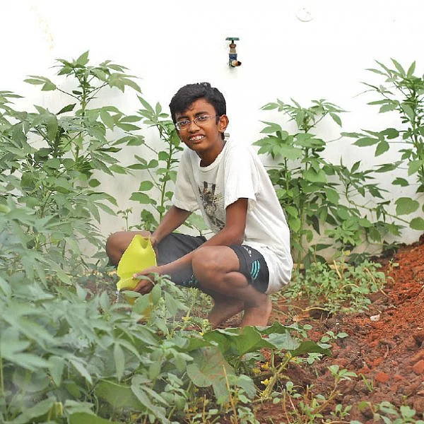 ‘‘நான் விவசாயம் படிக்கப் போறேன்’’ - மாடித்தோட்ட மாணவனின் ஆசை!