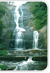 ஒரு சுகமான சுற்றுலா - கொடைக்கானல்