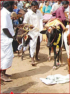 கேள்வி-பதில் : சேஷாத்ரிநாத சாஸ்திரிகள்