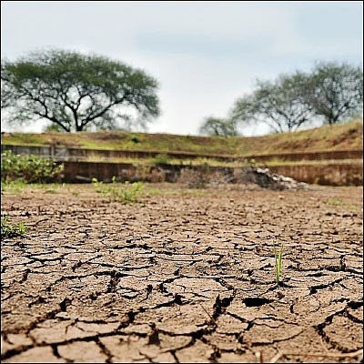 நீரின்றி அவளுலகம் அமையாது - ப்ரேமா ரேவதி