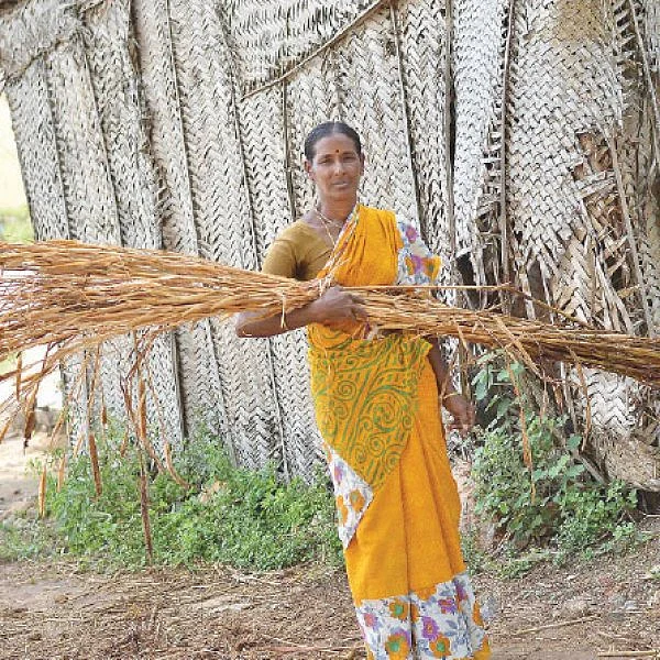 ஒரு ஏக்கர்... 120 நாள்கள்... ரூ.37,000 - நல்ல விளைச்சல் தரும் நாட்டுக் கம்பு!