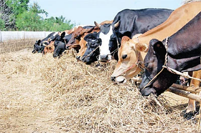 நீங்கள் கேட்டவை