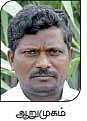 அரை ஏக்கரில், 1,200 கட்டு... பங்கம் இல்லா வருமானம்...