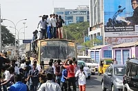 'பஸ் (மேலே) டே' கொண்டாட்டம் - ஆல்பம்