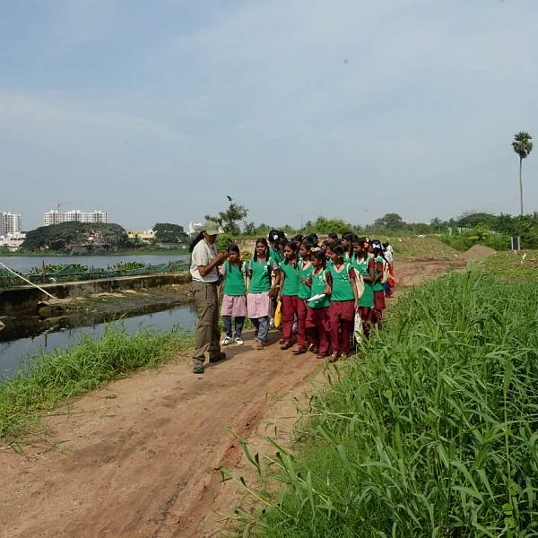 பல்லுயிர்ப் பெருக்கத்துக்கு உதவும் வகையில் கோவை சிங்காநல்லூர் குளம் பராமரிப்பு!