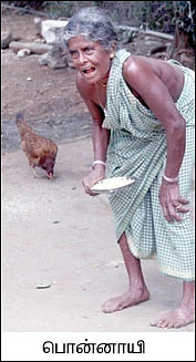 ஆத்தா...கோழி வளர்த்தா..!