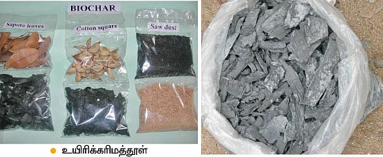 மண்ணுக்கு மரியாதை