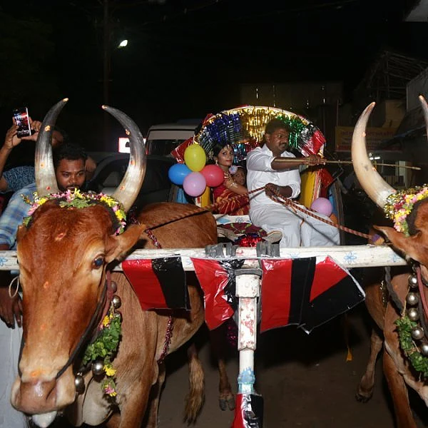 பட்டுவேட்டி சட்டை மாப்பிள்ளை மாட்டுவண்டி ஓட்ட... கல்யாண ஊர்வலம்! ஏன்?