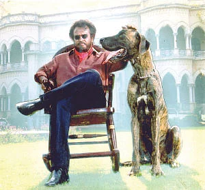 சர்வே கார்னர்!