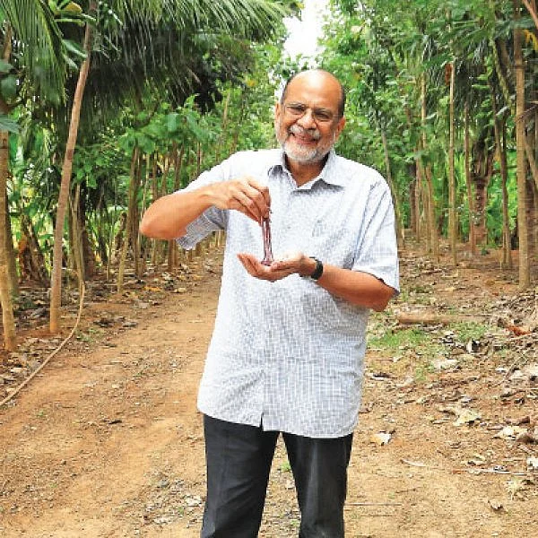 மண், மக்கள், மகசூல்! - எந்த வகை மண்புழு நம் மண்ணுக்கு ஏற்றது!