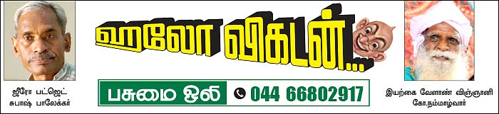 பசுமை ஒலி