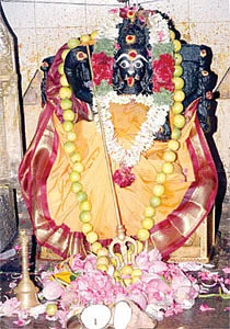 அருள் தரும் அம்மன் உலா !