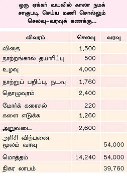 புத்தர் சாப்பிட்ட காலா நமக்...ஆயுளைக் கூட்டும் அற்புத அரிசி !