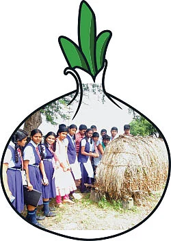 சுவை தரும்... சத்து தரும்... சின்ன வெங்காயம்!