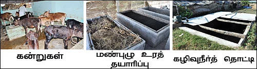 1 லிட்டர் பால் ரூ 24 !