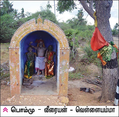 தெய்வ மனுஷிகள்: பொம்மு