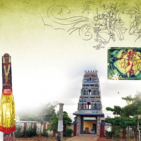 மாசி - மல்லி