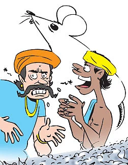 எலி வாங்கலையோ எலி !