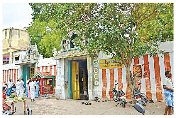 செவ்வரளிச் செடியில் தோன்றிய சிதம்பரேஸ்வரர்