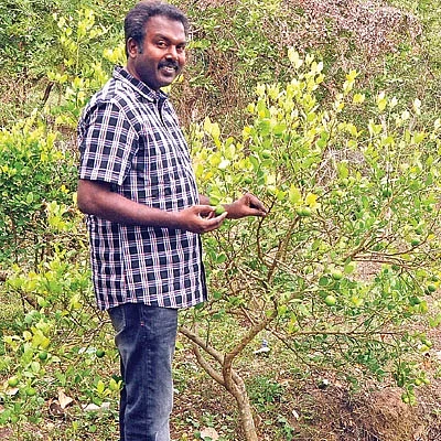 மதிப்புக்கூட்டலில் மகுடம்! - ஆண்டுக்கு ரூ.20 லட்சம்... எலுமிச்சைச் சாறு... கிரீன் காபி...