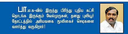 உணர்வுகளின் ஊர்வலம்!