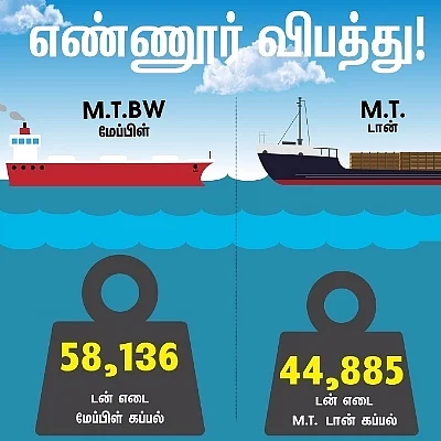 153 ஆமைகள் மரணத்திற்கு எண்ணெய் கசிவுதான் காரணமா? உண்மை என்ன?