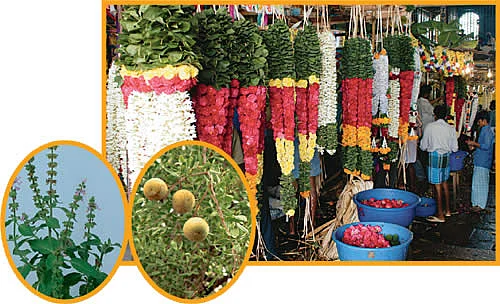 கேள்வி - பதில்