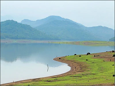 ஆனைமலையாறு நல்லாறு திட்டம் - திருப்பூரைத் திணறடித்த பேரணி!