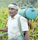 பஞ்சகவ்யா - 2