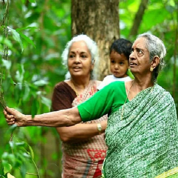 40 ஆண்டுகள்... 5 ஏக்கர் காடு... 2 தேசிய விருதுகள்... யார் இந்த 85 வயது தேவகி பாட்டி?