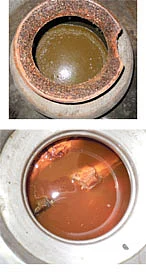 பலம் தரும் பஞ்சகவ்யா... விரட்டியடிக்கும் வசம்பு...