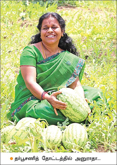 மரப்பயிர்கள், பழப்பயிர்கள், காய்கறிகள், மதிப்புக்கூட்டல்!
