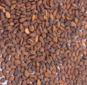 அஞ்சறைப்பெட்டி அருமருந்து