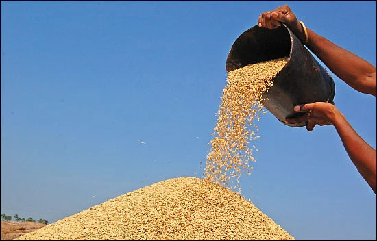 கொள்முதல் நிலையங்களில் லஞ்சத்தை ஒழிப்போம்!