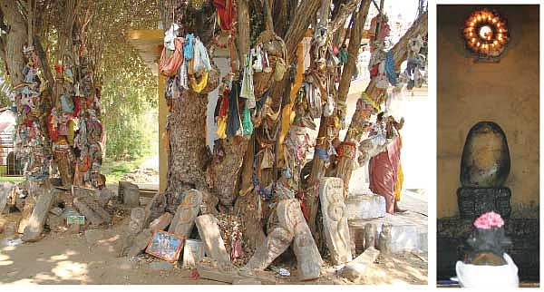 பாவம் போக்கும் பவானி கூடுதுறை!