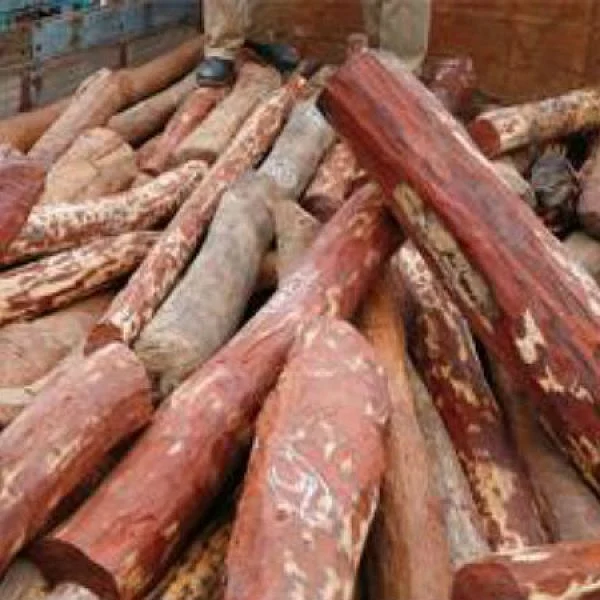 ரூ.6 கோடி செம்மரக்கட்டைகளுக்கு பதில் வைக்கோல்! அதிகாரிகளைப் பதறவைத்த கன்டெய்னர்