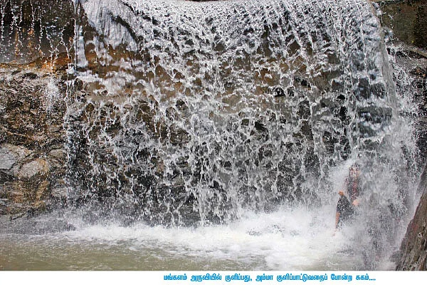 “நாங்கள் இப்போ பச்சைமலைப் பூக்கள்!”