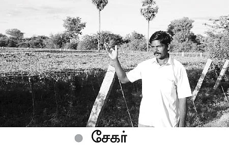 ஆடிப்பட்டம் தேடி விதை... வகை வகையாய் காய்கறிகள்...வளமான வருமானம்!