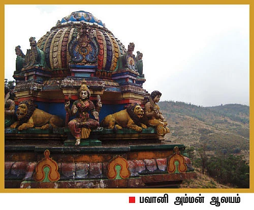 அவலாஞ்சிக்கு அவசியம் வாங்க! - சுற்றுலா