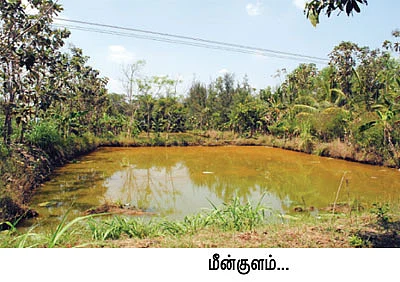 ஜீரோ பட்ஜெட்டில் ஜொலிக்கும் ஒருங்கிணைந்தப் பண்ணையம்!