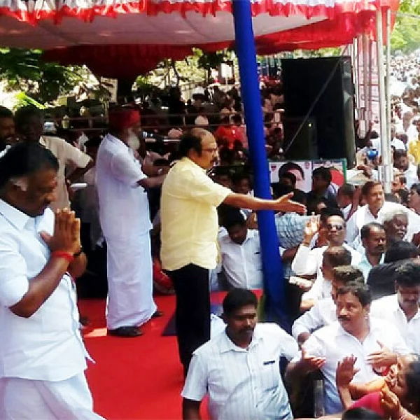 'ஓ.பன்னீர்செல்வம் அணிக்கு இவ்வளவு ஆதரவா!?' - அதிர்ச்சியில் சசிகலா, தினகரன் #VikatanExclusive