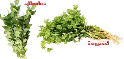 தினம் ஒரு கீரை! ஒரு கம்ப்ளீட் கைடு