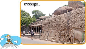 ஜோரா போகலாம் ஜாலி டூர்!