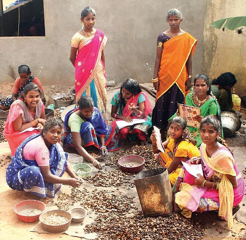 மணக்கும் மருங்கூர் முந்திரி!