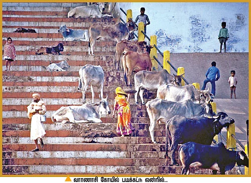 உலக அநீதிகளின் சாட்சி!