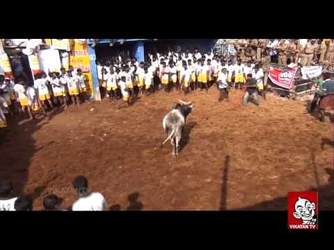 Smile Please | kollywood Jolly Jallikattu | Vikatan TV